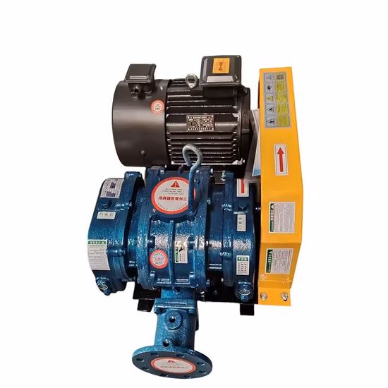 Roots Blower for for Combustion Supporting and Pressurization of Combustion Furnace